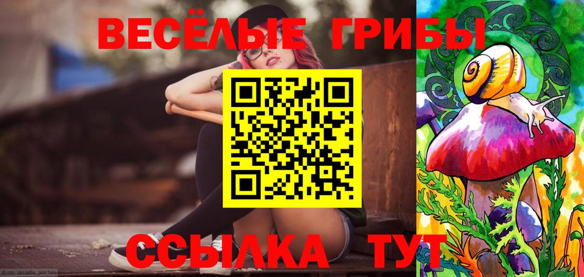 Псилоцибиновые грибы мицелий Кизляр
