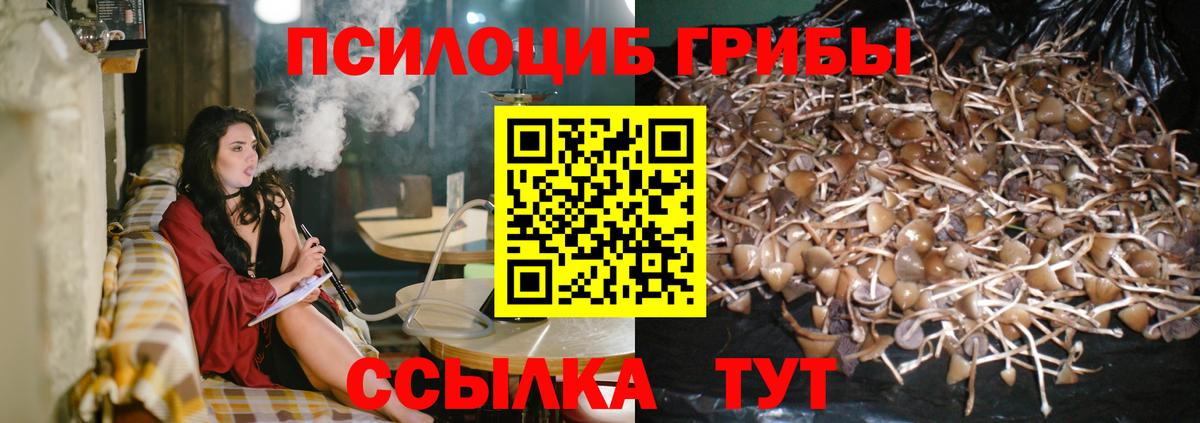 Кизляр  Псилоцибиновые грибы GOLDEN TEACHER  наркота  Вход с VPN  Галлюциногенные грибы мухоморы 